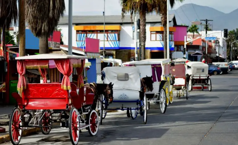 Carruajes turísticos tirados por caballos en Ensenada